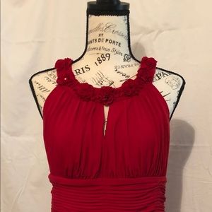 Stunning Petite Red Dress